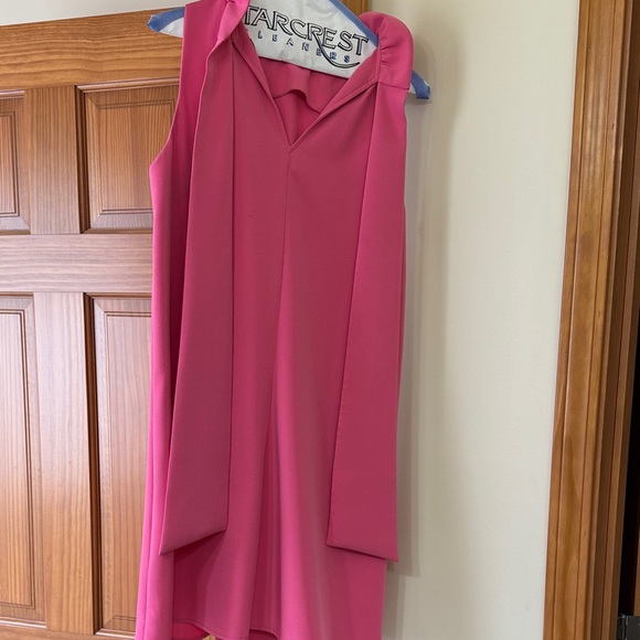 Tuckernuck Pink Blythe Dress - Picture 3 of 5